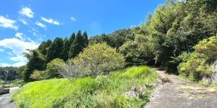 西別院町犬甘野椎ヶ原